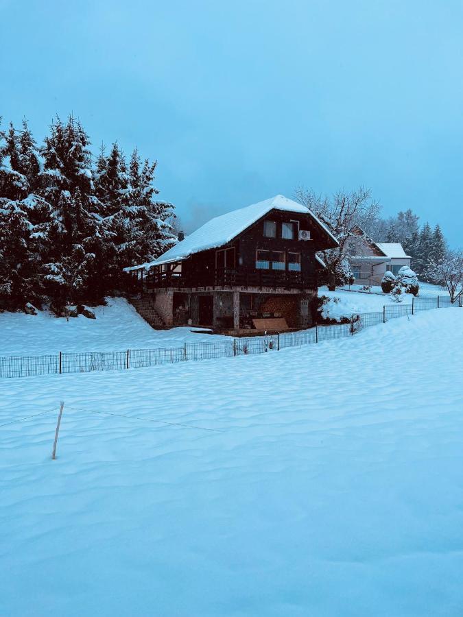 Chalet Pjagodic Церклє-на-Горенськем Екстер'єр фото